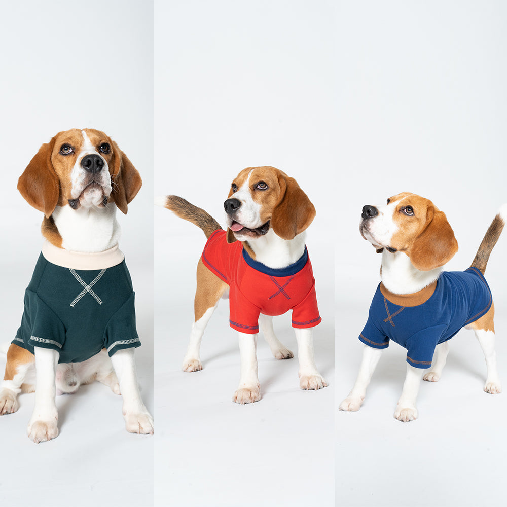 Pet Haven Sommer-Hundeshirts – 12er-Pack Multi-Design-Kollektion