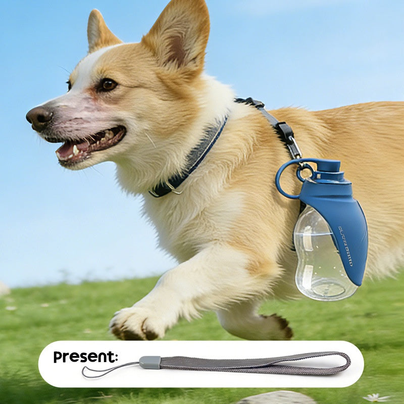 Portable Leak-Proof Pet Water Bottle with Carabiner