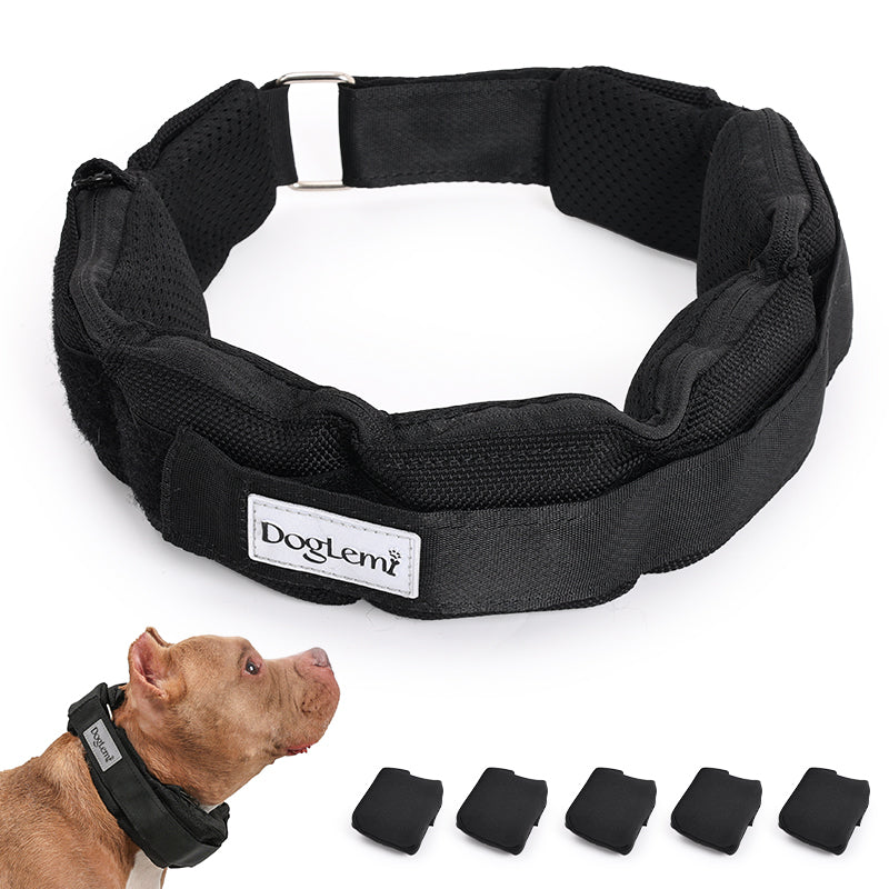 Pet Haven Tapis de fouille 2-en-1 et panier calmant pour animaux de compagnie