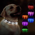 USB Rechargeable Waterproof LED Safety Dog Collar