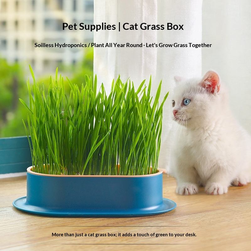 Pet Haven – Bio-Hydroponik-Katzengras-Kit