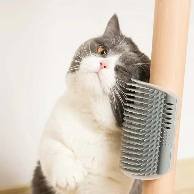 Cat Wall Corner Self-Groomer & Massage Brush