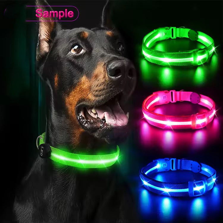 USB Rechargeable Waterproof LED Safety Dog Collar